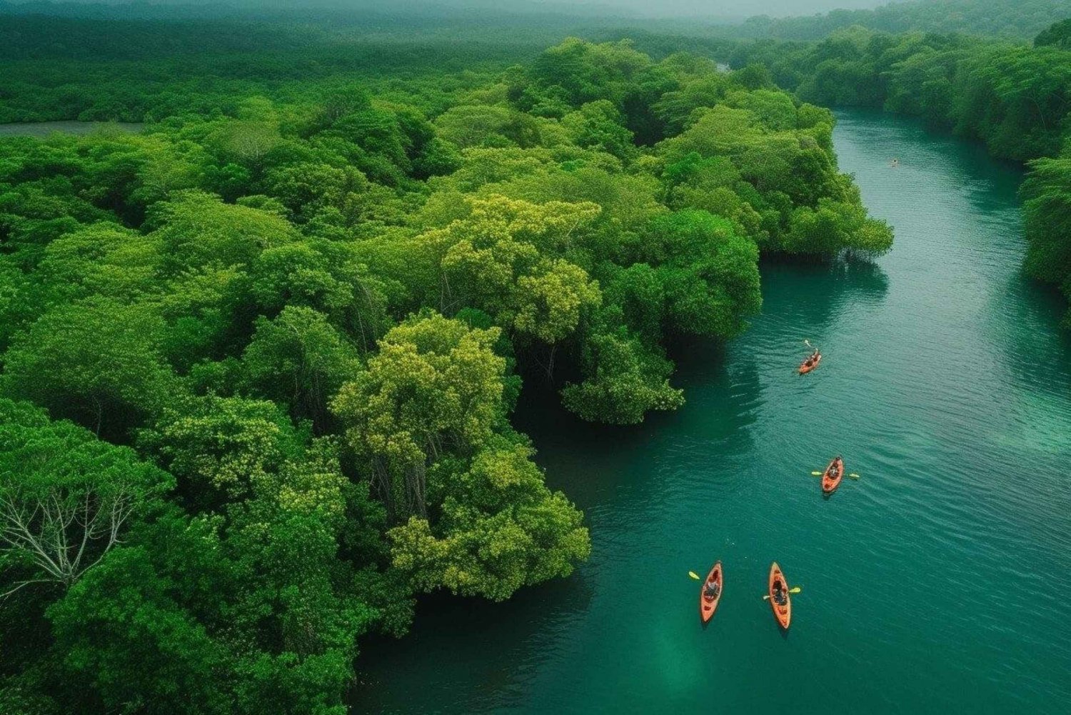 3en1: Parque N. Los Haitises + Cascadas + Montaña Redonda