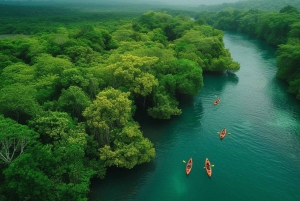 3en1 : Parc national de Los Haitises + Cascades + Montaña Redonda