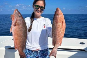 4 horas de pesca en alta mar desde punta cana