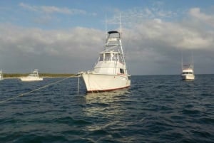 4 hours of deep sea fishing from Bavaro Punta Cana