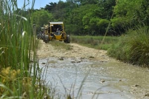 7 Chutes d'eau Damajagua et Dune Buggy