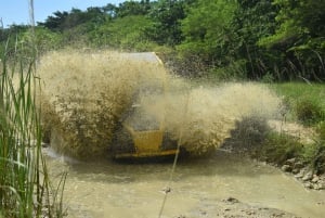 7 Chutes d'eau Damajagua et Dune Buggy