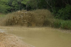 7 Vesiputoukset Damajagua ja Dune Buggy