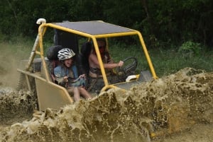 7 Chutes d'eau Damajagua et Dune Buggy