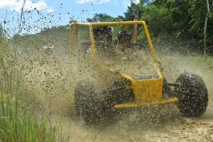 7 Chutes d'eau Damajagua et Dune Buggy