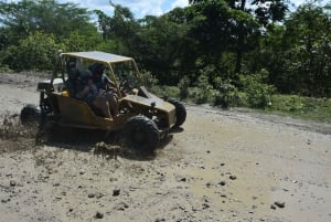 7 Chutes d'eau Damajagua et Dune Buggy