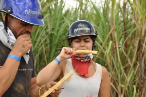 Aventura Bayahibe: Buggies, Cueva, Cultura en Medio Día