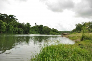 Aventura em Bayahibe: Buggies, Caverna, Cultura em Meio Dia