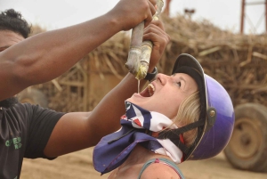 Eventyr i Bayahibe: Buggies, hule og kultur på en halv dag