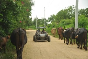 Eventyr Bayahibe Buggy mellom jungel, grotter og strender