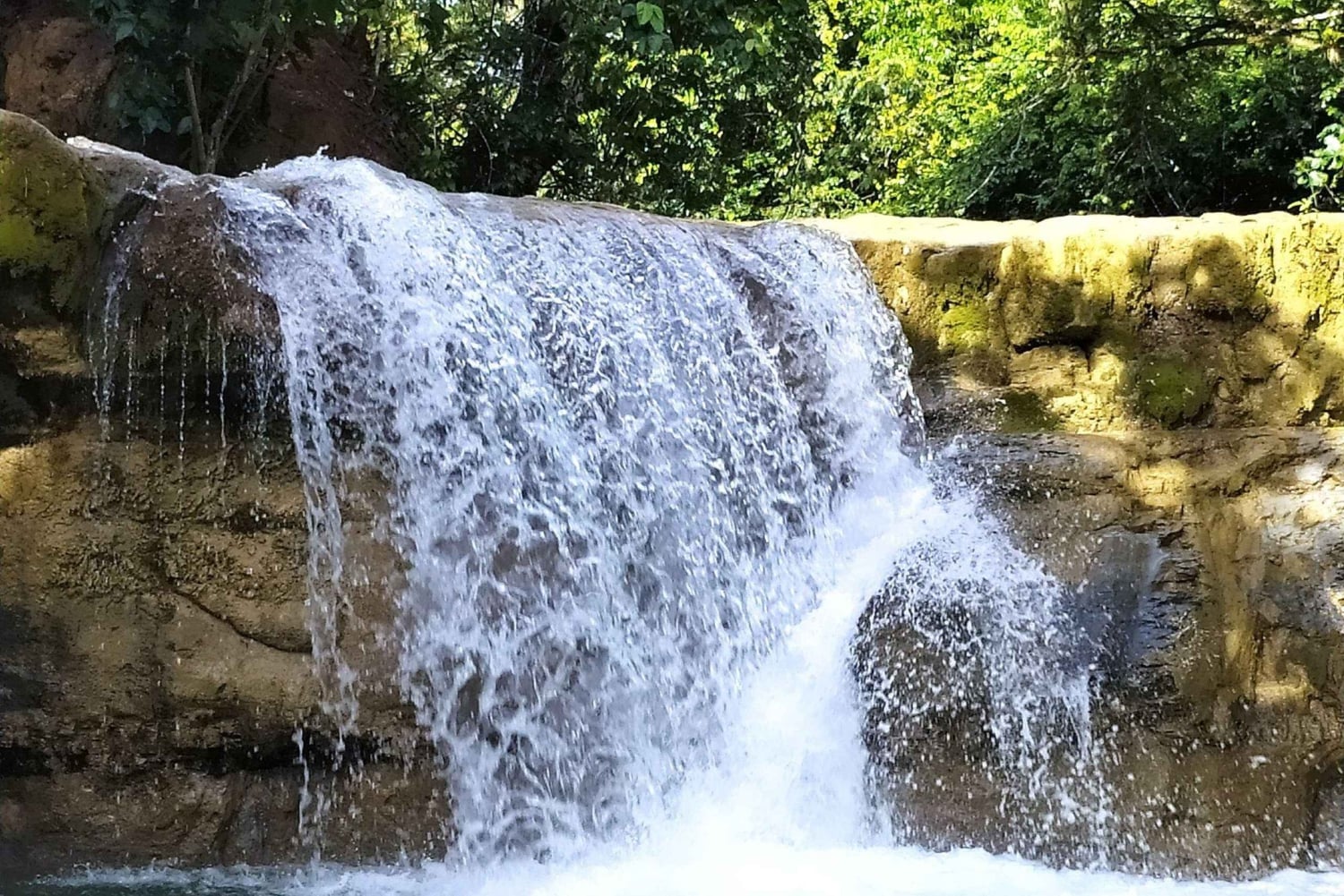 Adventure from Miches: Los Haitises, Caño Hondo, and Yanigua