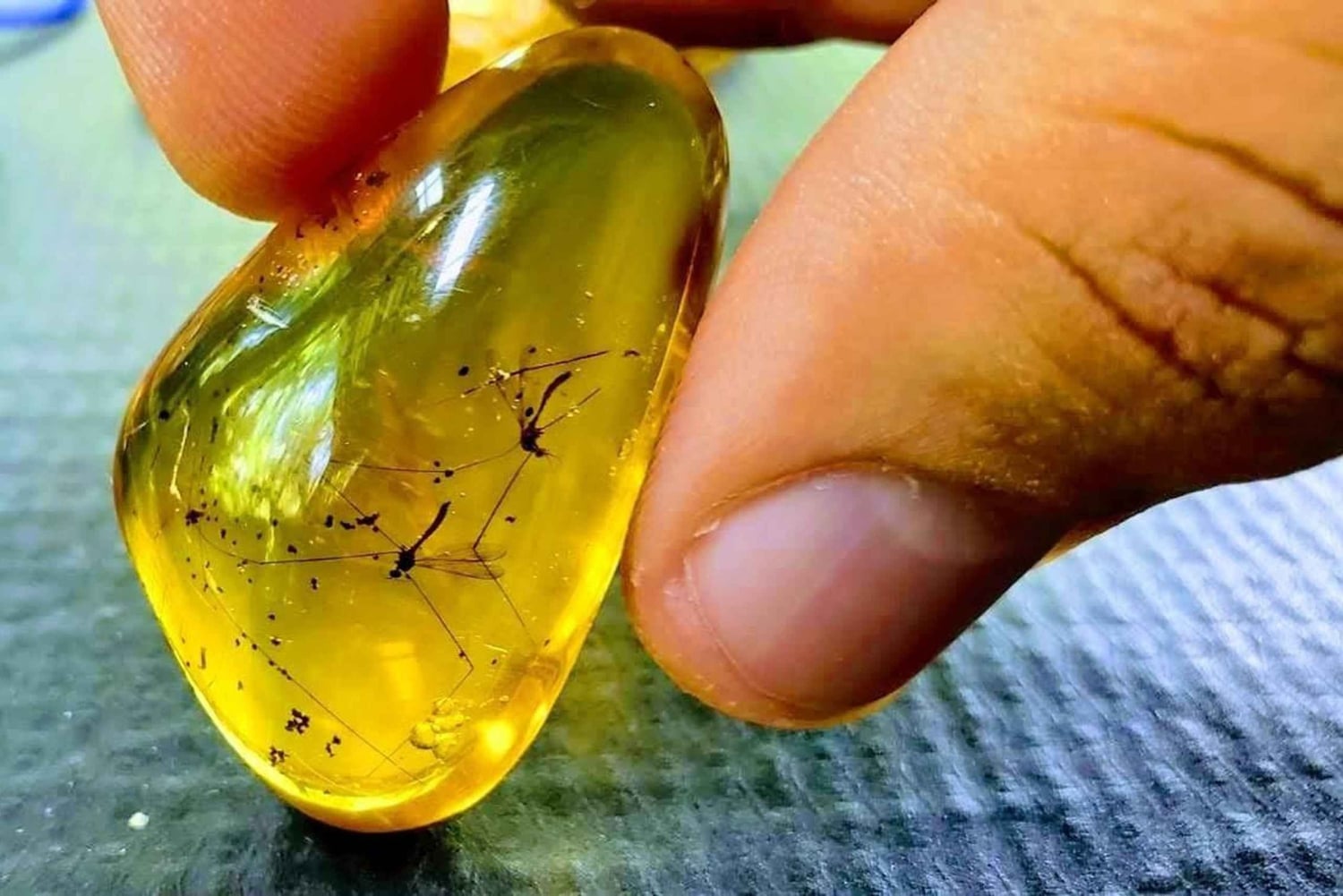 Adventure from Miches: Los Haitises, Caño Hondo, and Yanigua