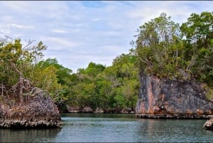 Adventure from Miches: Los Haitises, Caño Hondo, and Yanigua