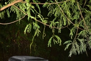 Adventure Park: Polaris at Night, Waterfall Pool Party + Surf & Turf Dinner