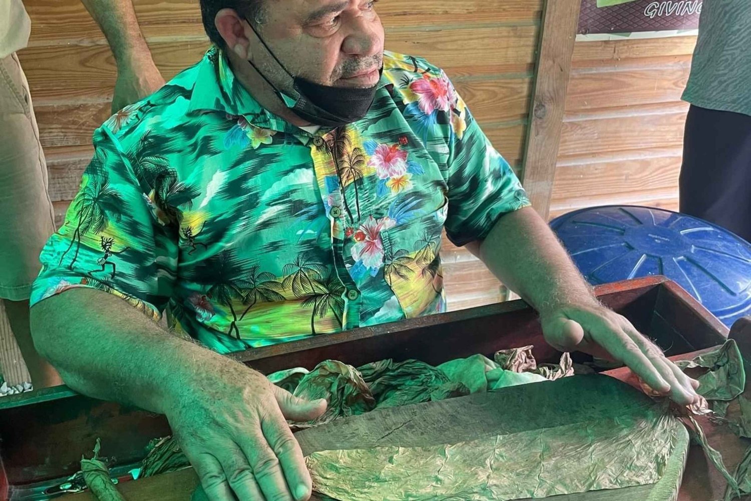 1-dniowa wycieczka all inclusive z Punta Cana: Zanurz się w kulturze DR