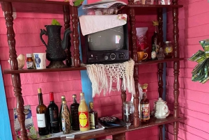 All-Inclusive dagtrip vanuit Punta Cana: DR cultuur onderdompeling