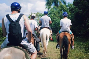 All-Inclusive dagtrip vanuit Punta Cana: DR cultuur onderdompeling