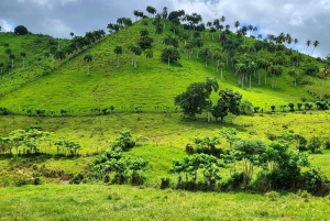 All-Inclusive dagtrip vanuit Punta Cana: DR cultuur onderdompeling