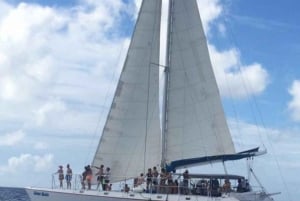 All-Inclusive Excursion to Saona Island from Punta Cana: Lunch and Open Bar