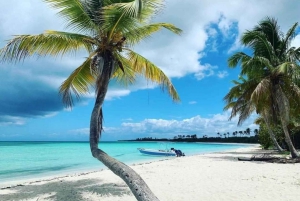 All-Inclusive Excursion to Saona Island from Punta Cana: Lunch and Open Bar