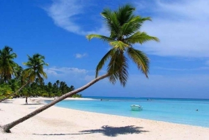 All-Inclusive Excursion to Saona Island from Punta Cana: Lunch and Open Bar