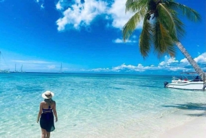 All-Inclusive Excursion to Saona Island from Punta Cana: Lunch and Open Bar