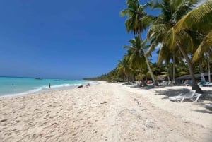 All-Inclusive Excursion to Saona Island from Punta Cana: Lunch and Open Bar