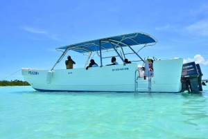 All-Inclusive Excursion to Saona Island from Punta Cana: Lunch and Open Bar