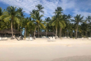 All-Inclusive Excursion to Saona Island from Punta Cana: Lunch and Open Bar