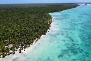 Experiencia en la Isla Saona Todo Incluido desde Punta Cana