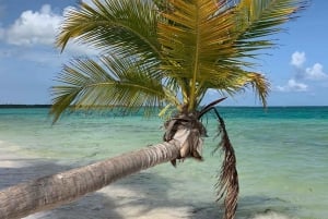 All Inclusive Saona Island Experience from Punta Cana
