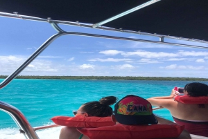 Excursión a la Isla Saona con todo incluido desde Punta Cana o Bayahibe