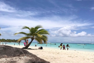 Excursão com tudo incluído à Ilha Saona saindo de Punta Cana ou Bayahibe