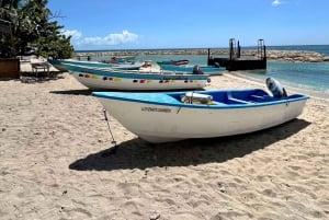 Excursão cultural a Altos de Chavón e La Romana com sabores locais