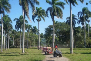 Amber Cove - Taino Bay Super Buggy 4-sæders tur