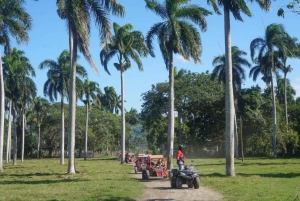 Amber Cove - Taino Bay Super Buggy 4 Seaters Tour