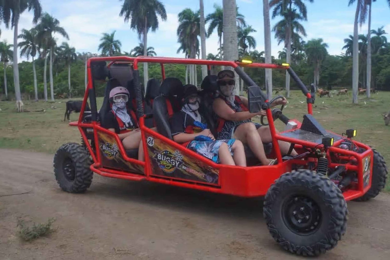 Amber Cove/Taino Bay: Super Buggy Tour