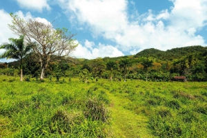 Punta Cana: Anamaya Mountains Walking Tour with Tasting