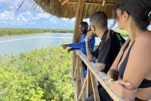 Halvdagsutflukt til Art And Forest Way