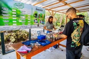Halvdagsutflukt til Art And Forest Way