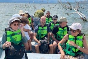 Avistamiento de Cocodrilos en Lago Enrriquillo TODO INCLUIDO