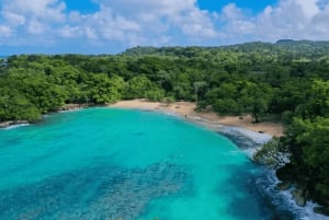 Bacardi-øya, fossefall og hvalsafari i Punta Cana