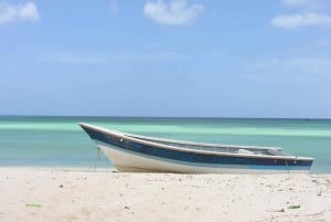 Bahía de las Aguilas: Dagtrip per boot naar het strand