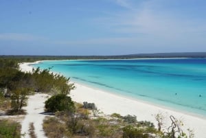 Bahía de las Aguilas: Strandtagestour mit dem Boot
