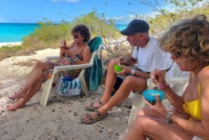 Bahía de las Aguilas: Strandtagestour mit dem Boot