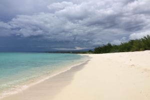 Bahía de las Aguilas: Strandtagestour mit dem Boot