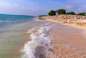 Bahía de las Aguilas: Strandtagestour mit dem Boot