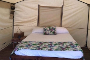 Experiencia glamping Bahía de las águilas desde Santo Domingo