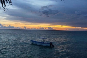 Experiencia glamping Bahía de las águilas desde Santo Domingo