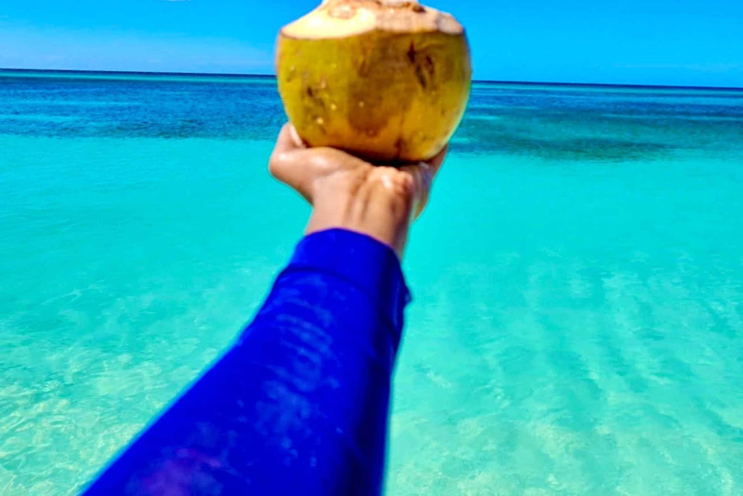 Bahía de las Águilas Privato Full Day VIP Tutto compreso Da Santo Domingo